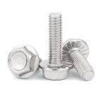 Bullone flangiato SS